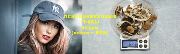 прущие крисы Верея